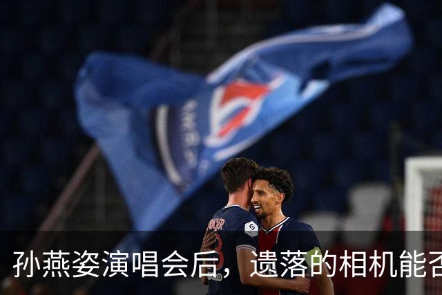 孙燕姿演唱会后，遗落的相机能否找到？